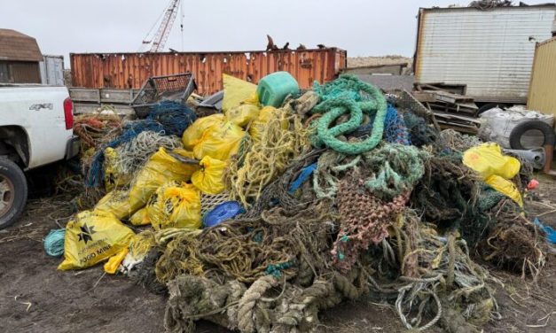 Cleanups removed over 1.5 million pounds of trash from Alaska beaches last year, report says