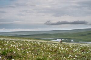 Under new agreement, federal government limits obstacles to oil leasing in Alaska’s Arctic refuge