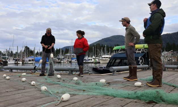 UPDATE: Petersburg volunteers rescue entangled whale