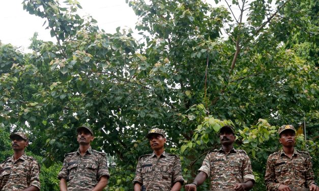 India’s youth-led Cockroach movement vows to continue protest after police crackdown