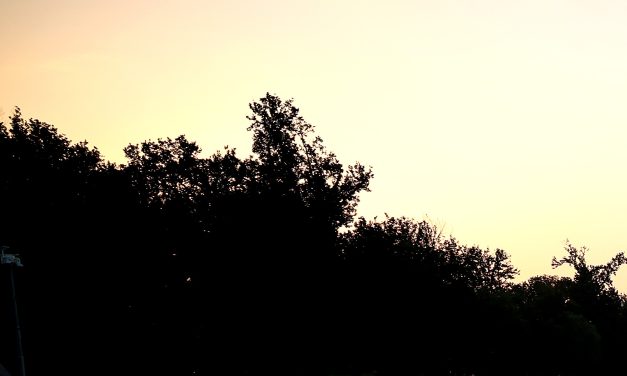 The days are hot, but so are the nights. That’s a problem, experts say