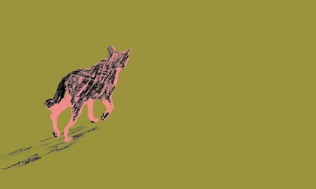 13 new books in August will get you through the dog days of summer