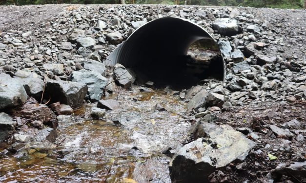 Nonprofit works to enhance fish habitat on Prince of Wales