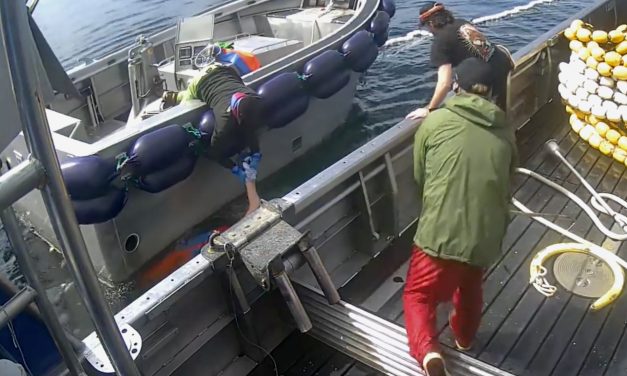 ‘Complacency kills on the boat’: fisherman saved from drowning by F/V Odin crewmates