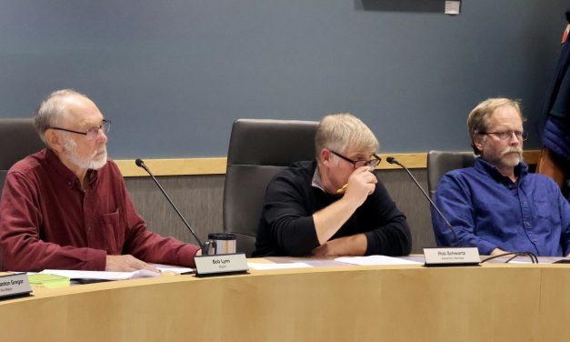 Data center moratorium proposal fails in Petersburg Assembly stalemate