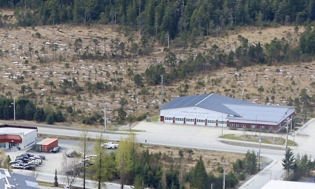 Controversial tower subdivision request to return to Petersburg Borough Assembly again next month
