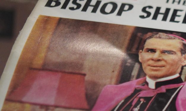 A Catholic media star will be beatified in St Louis, moving a step closer to sainthood