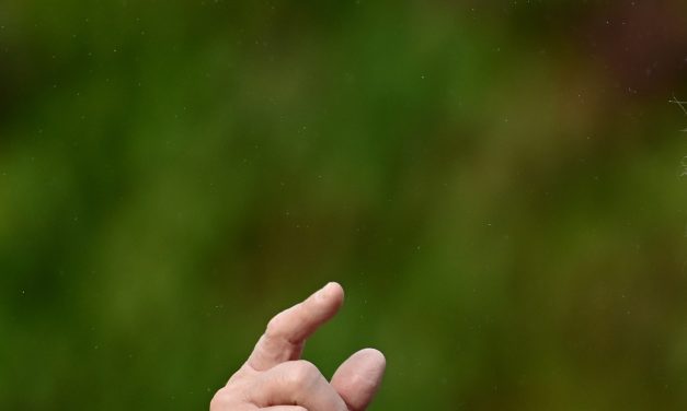 CNN, MS NOW, Politico reporters denied access to White House following Trump ban