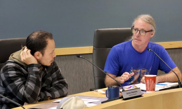 Petersburg Assembly initiates work on potential moratorium, zoning rules for data centers
