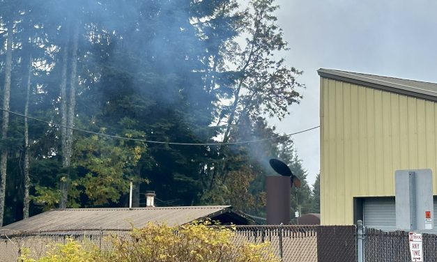 Petersburg sees Monday morning power outage, restoration underway