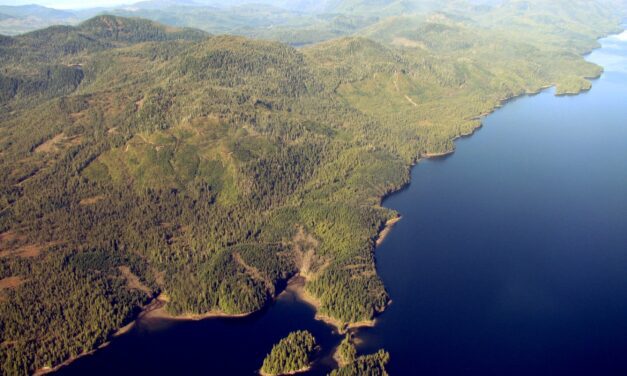 Motion seeks to halt timber sale near Ketchikan