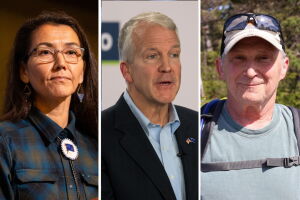 Peltola campaign and national Dems recruited spoiler candidates, including Petersburg Sullivan, according to New York Times