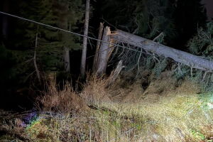 Tens of thousands without power in Anchorage and Mat-Su as high wind slams Southcentral