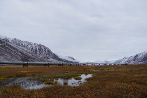 New USGS estimate says undiscovered North Slope gas resources equal nearly 3 years of U.S. consumption