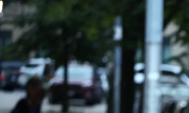 Partnerships between ICE and local police surge, report finds