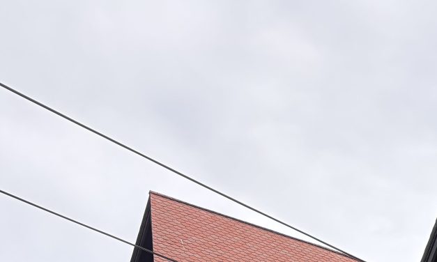 Cornell University bans frat parties, vows to address ‘disturbing’ campus culture