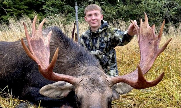 Fall moose hunt in central Southeast Alaska sees higher harvest