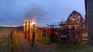 The Anchorage Weekender: A musk ox party, a teen book club and 8 more local events