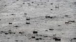 WCA in final steps to create climate adaptation plan